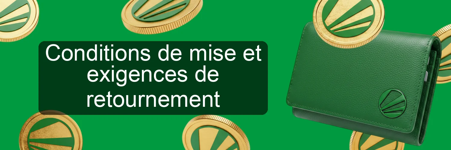 Conditions de mise et exigences de retournement Conditions de mise et exigences de retournement