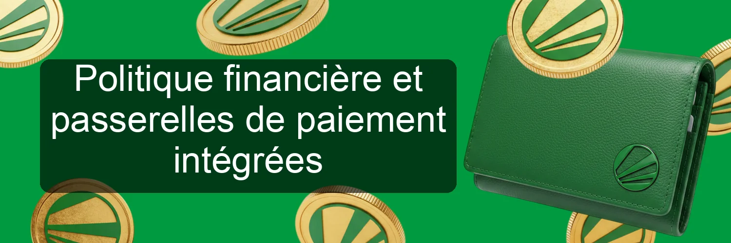 Politique financière et passerelles de paiement intégrées Politique financière et passerelles de paiement intégrées